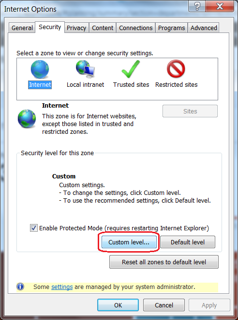 Internet Options - Internet - Custom