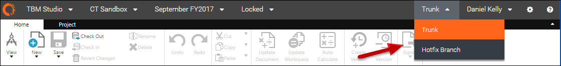 You can access the Branch menu to switch environments between Trunk (your current project version) and any active branches you have access to.