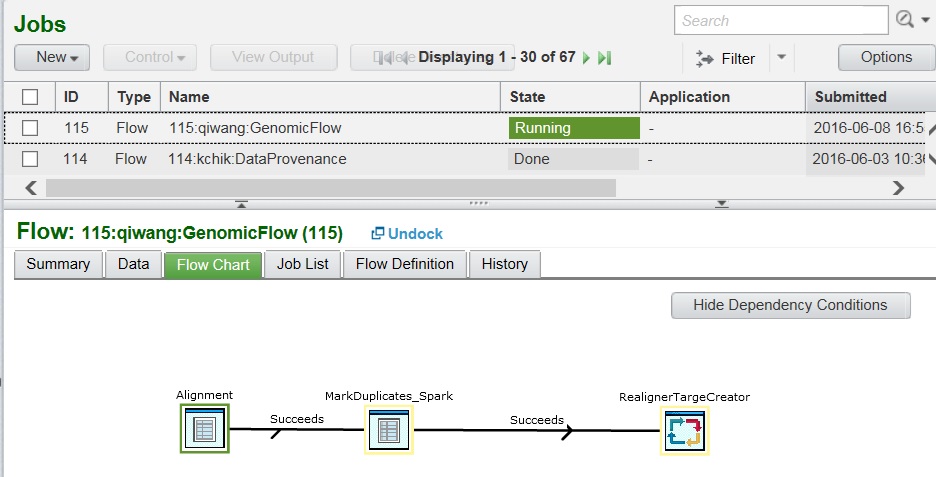 Monitoring a running flow in Application Center