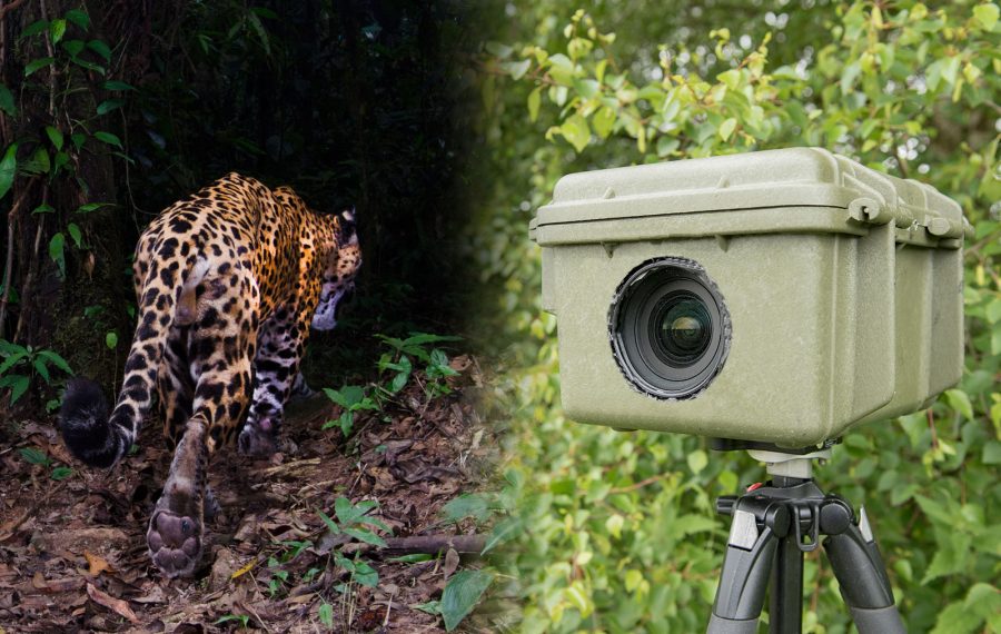 Credit: https://www.naturettl.com/how-to-make-a-dslr-camera-trap-housing/