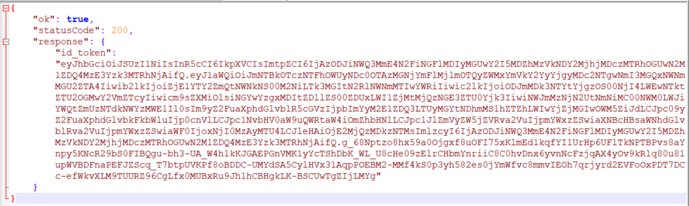 Token JSON structure