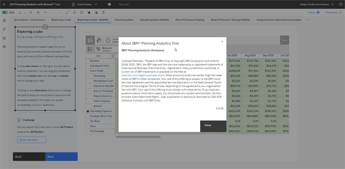 Evidence of Black Border at version 2.0.65