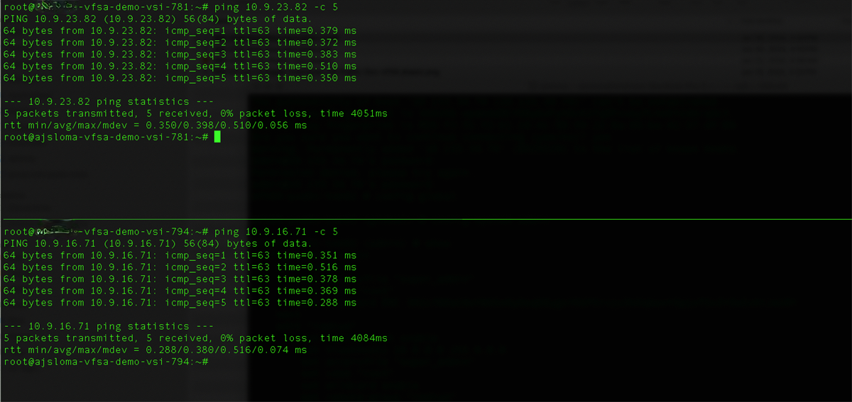 vFSA on IBM Cloud: Part 2 Configuration