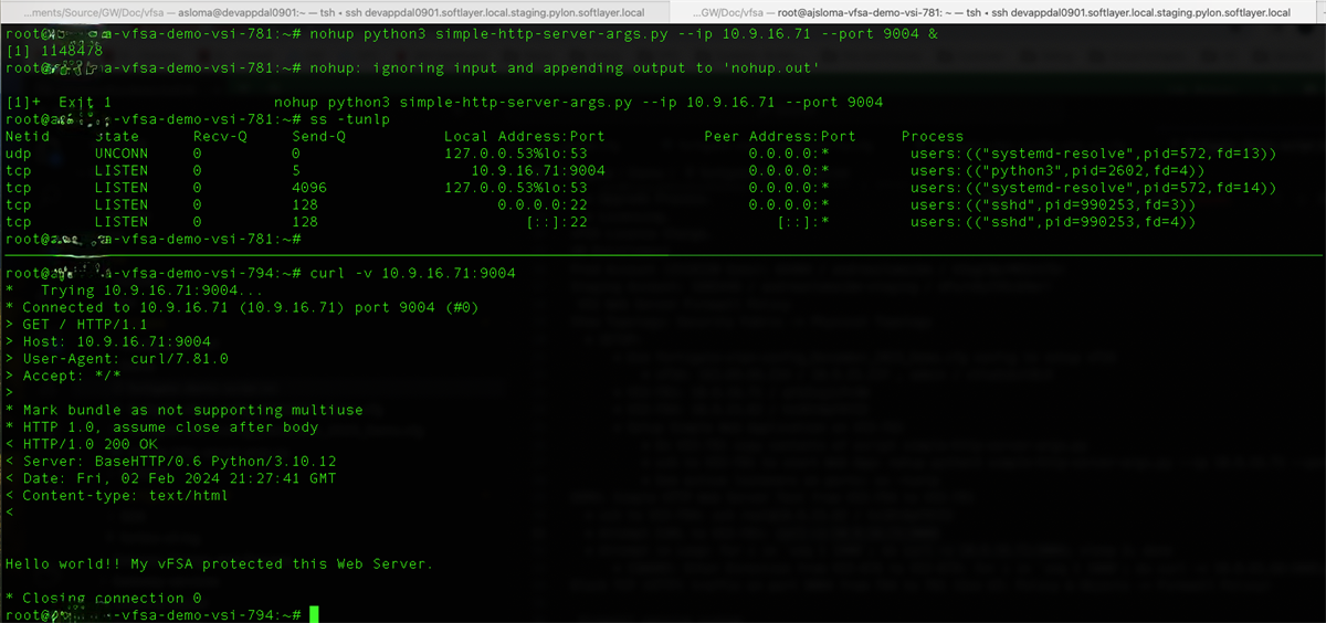 vFSA on IBM Cloud: Part 2 Configuration