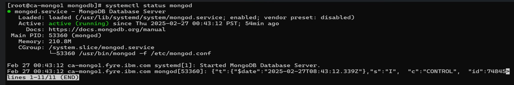 MongoDB service