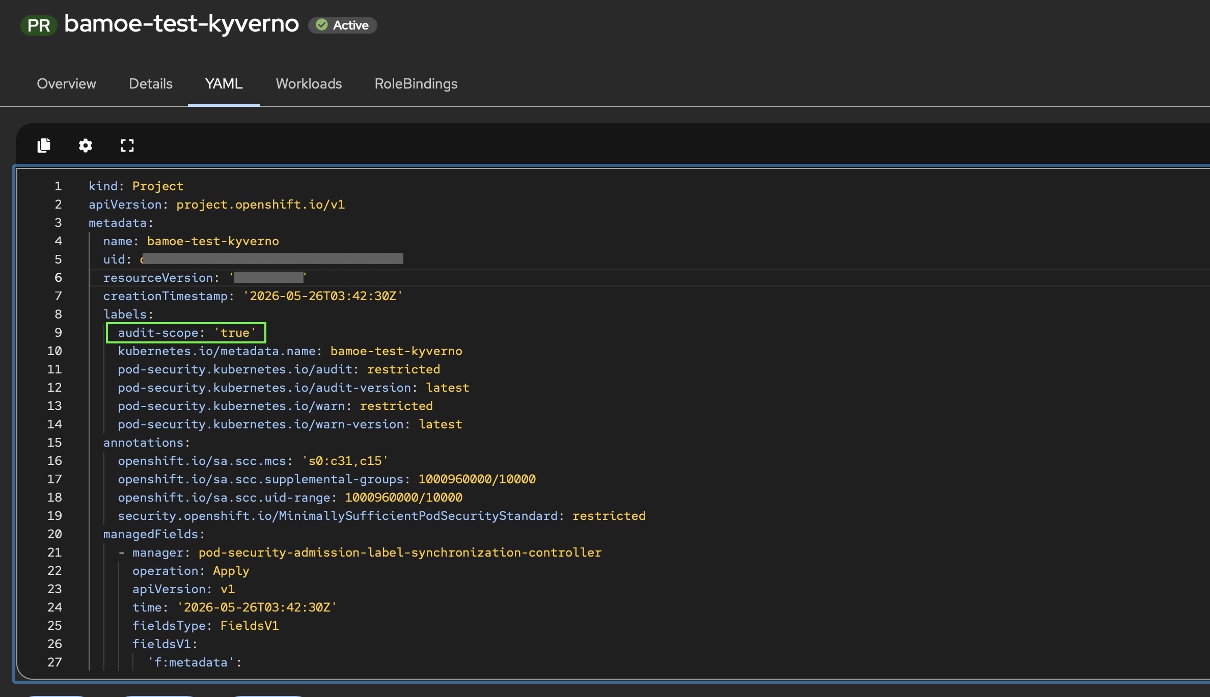 Namespace with audit-scope Label