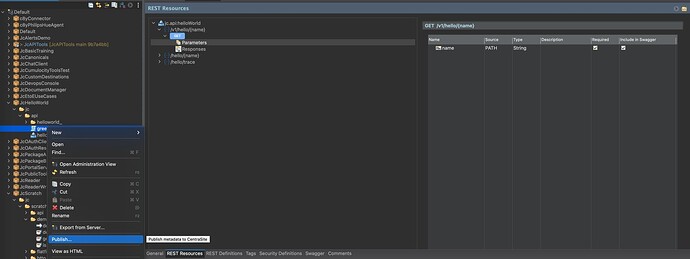 API Descriptor Publish