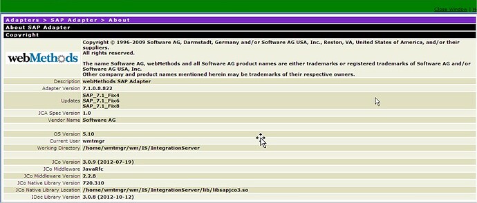 wM DEV SAP About page.jpg