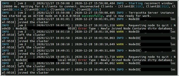 Terracotta_server_wrapper