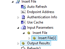 wsInput Structure.PNG