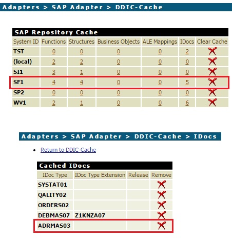 DDIC-Cache.jpg