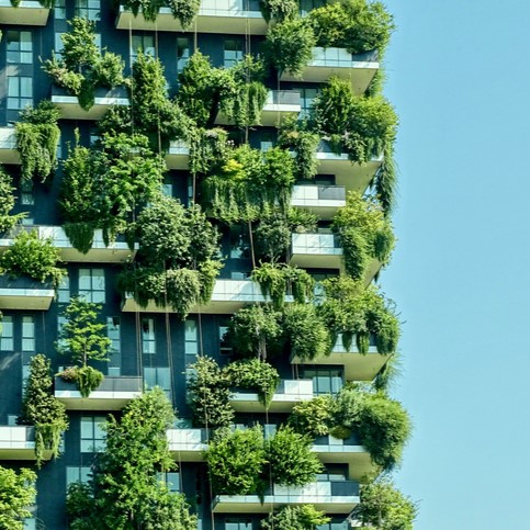 Modern building with trees on balconies