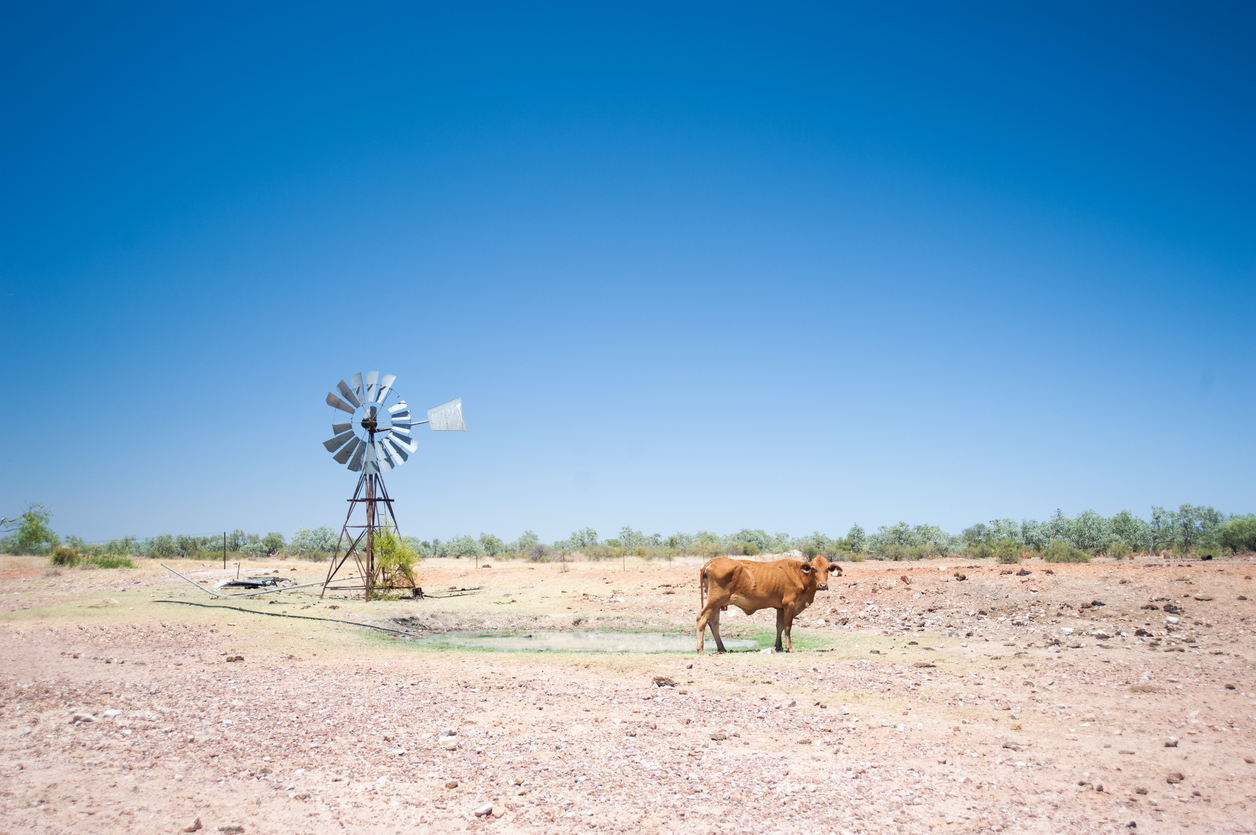A-cow-and-windmill-in-outback-Australia_-943696826_1258x837.jpeg