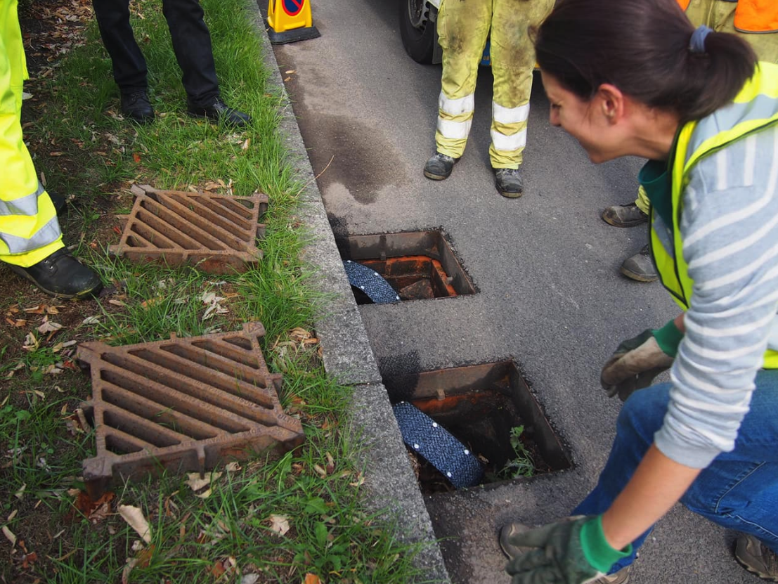 'Frog ladders' installed in UK drains to prevent amphibian deaths