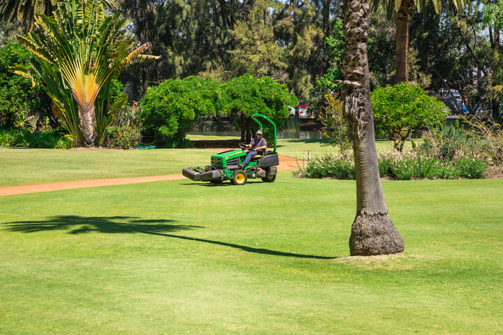A-lawnmower-cutting-grass-in-a-Government-House-landscaped-park-in-Perth-City_-Western-Australia-880276878_727x485.jpeg