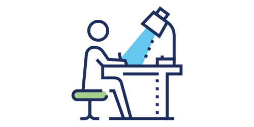 volunteer opportunity image