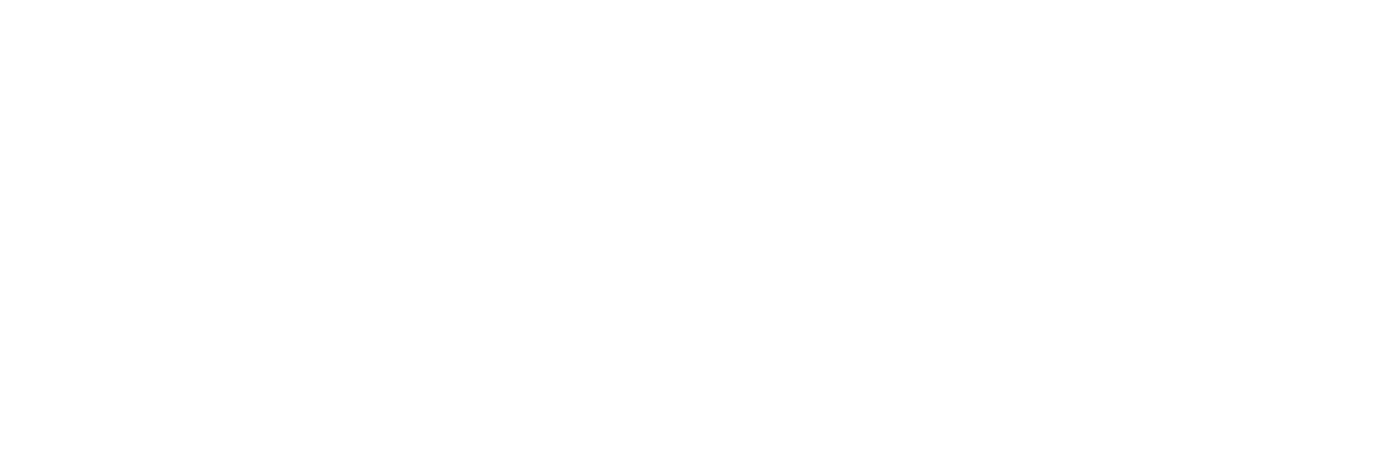 NAIS member logo