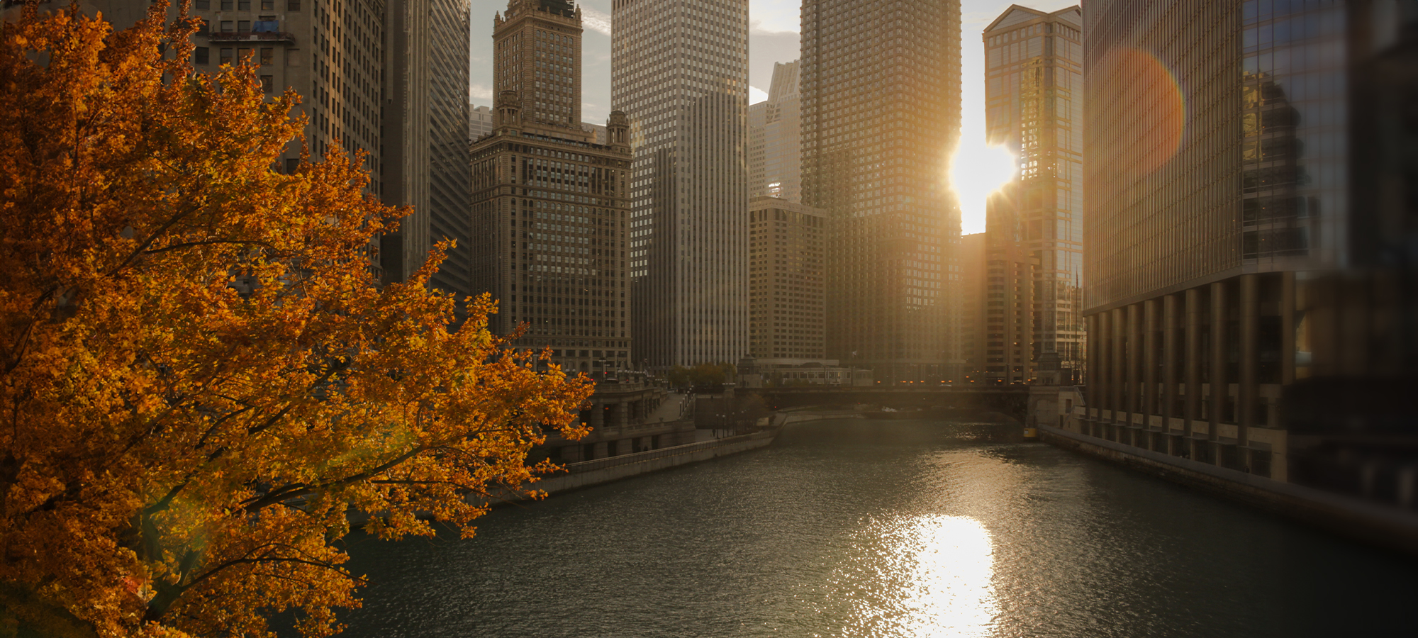 55 W Wacker