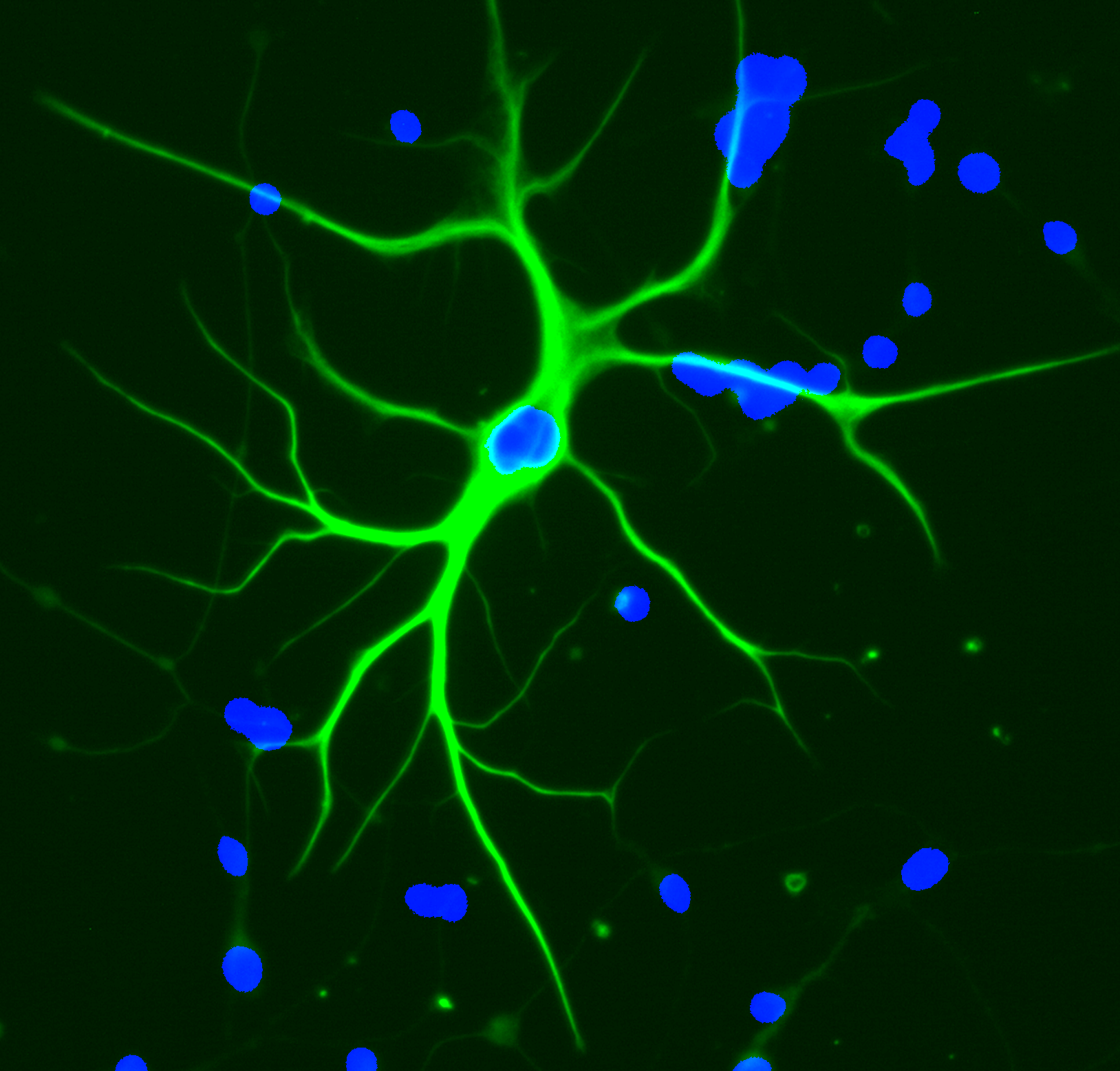 Your submission image