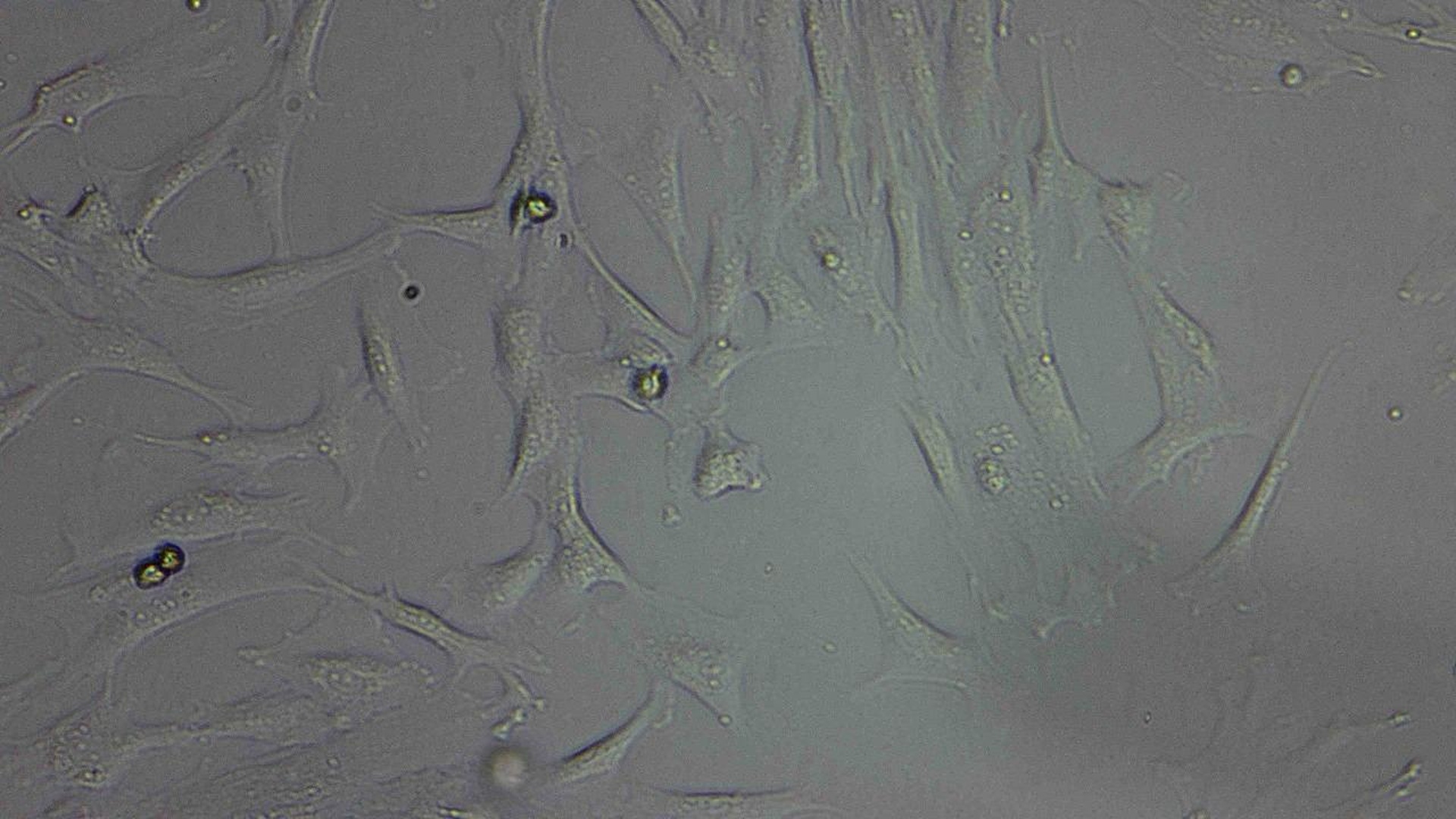 Your submission image