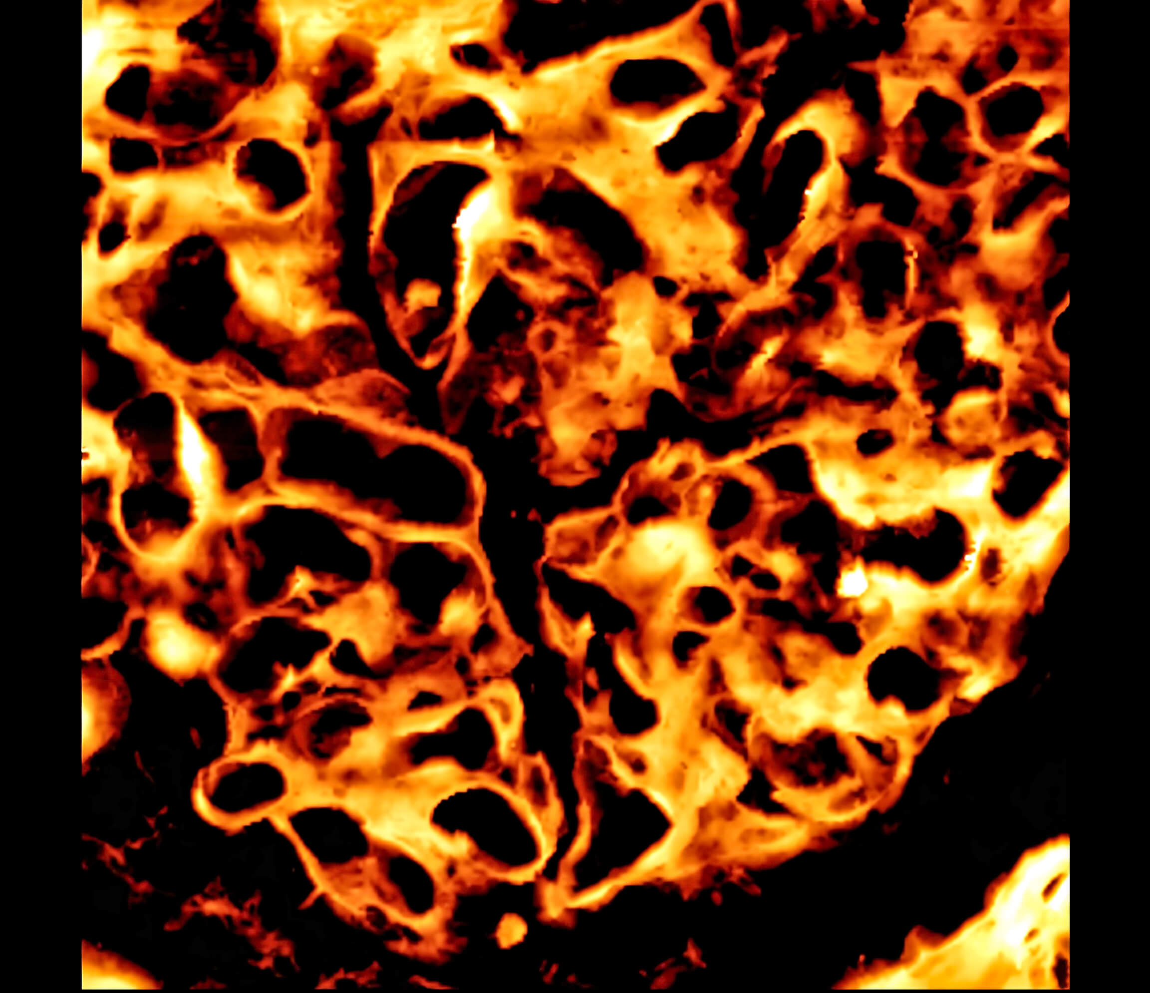 Your submission image