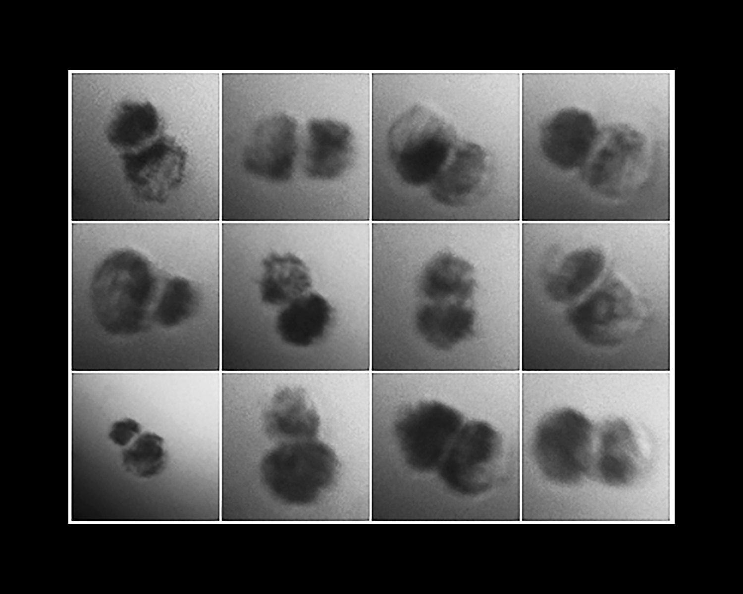 Your submission image