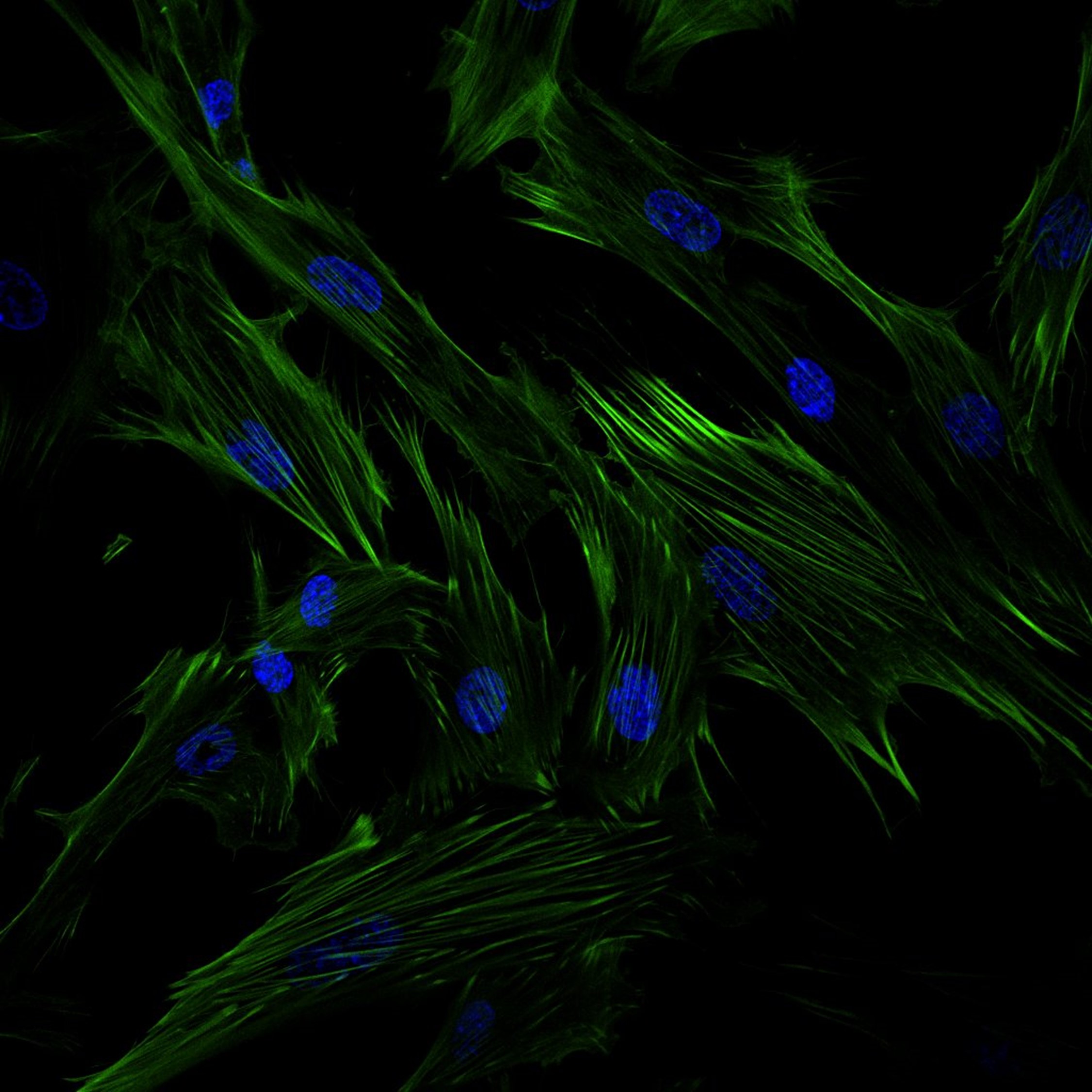 Your submission image