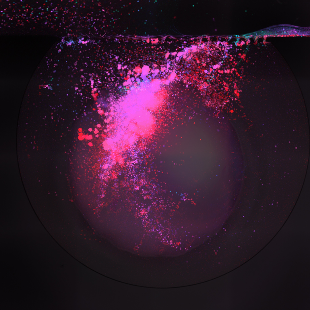 Your submission image