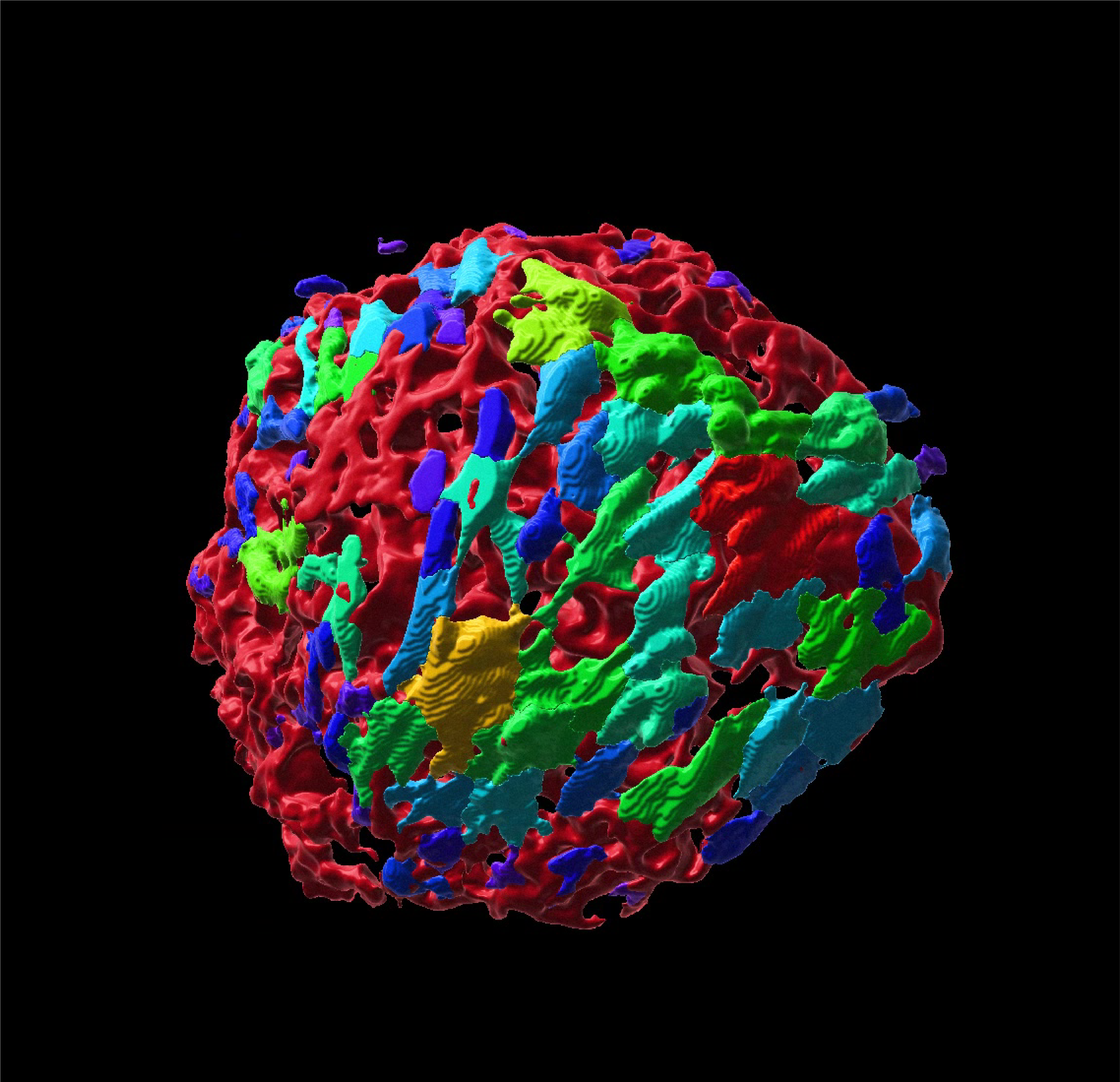 Your submission image