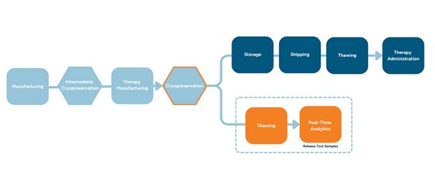A diagram of a company

Description automatically generated