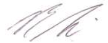 Bruce Levine's signature