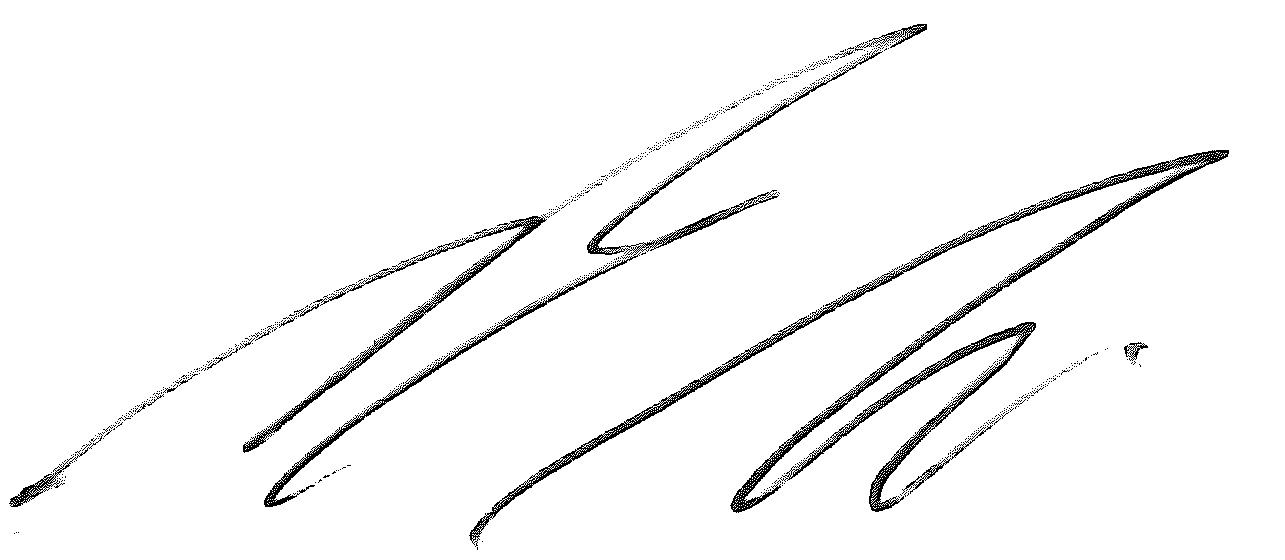 Bruce Levine Signature