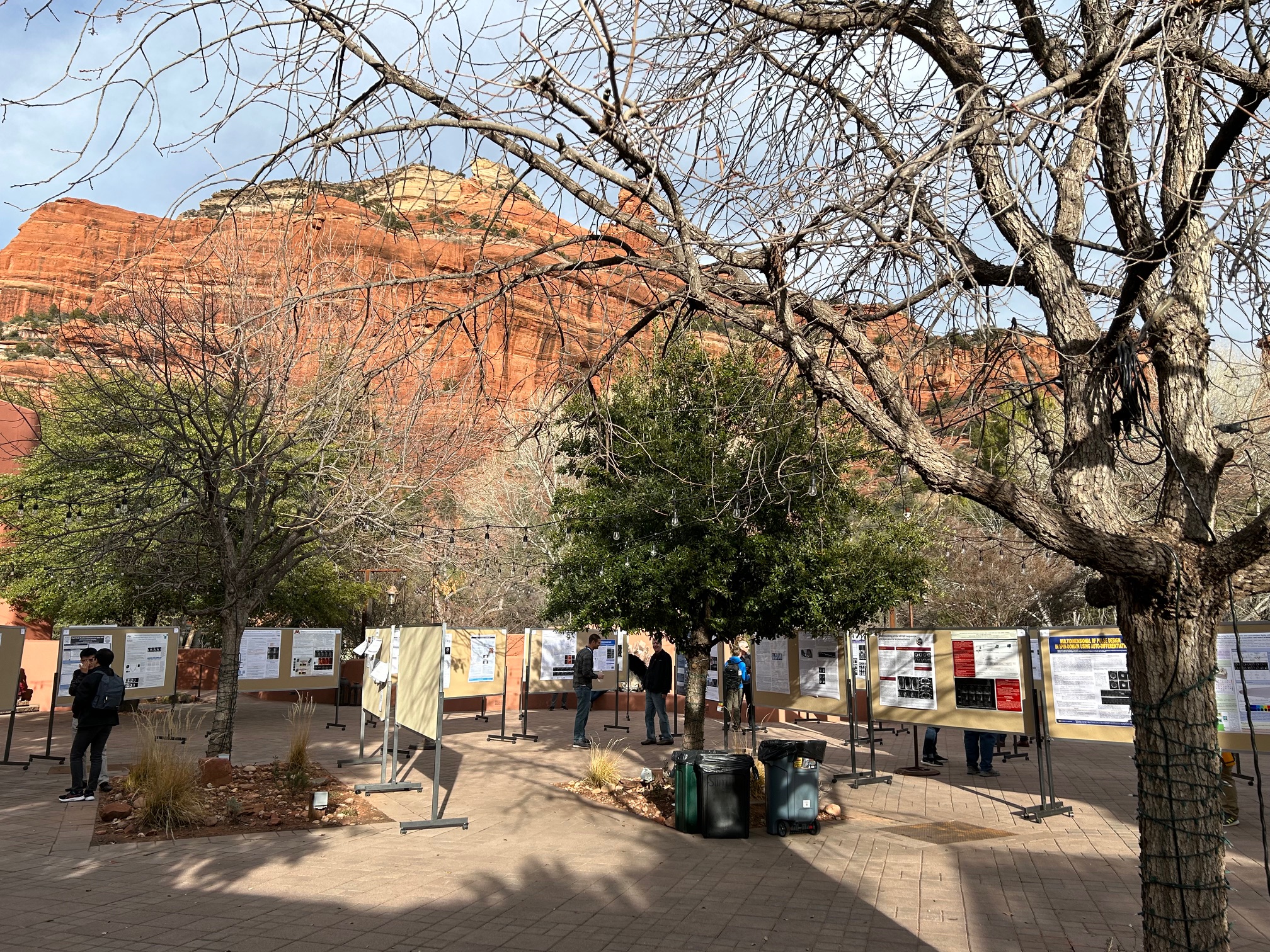 Data Sampling poster viewing from 2023 workshop