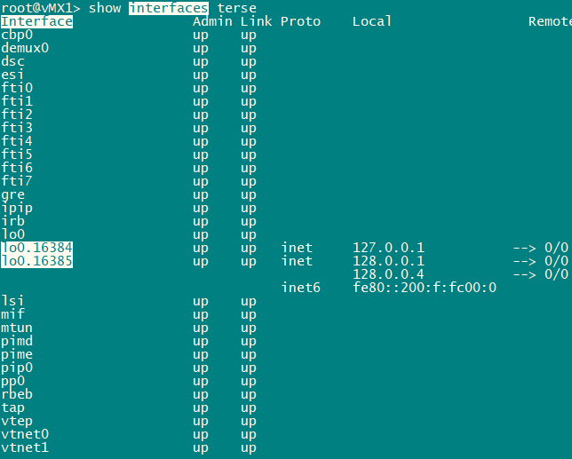 Lab with two vMX, can't configure GE interfaces vMX