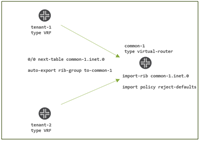 Vsrx Instance SRX EVPN/VXLAN T5 oIPSEC