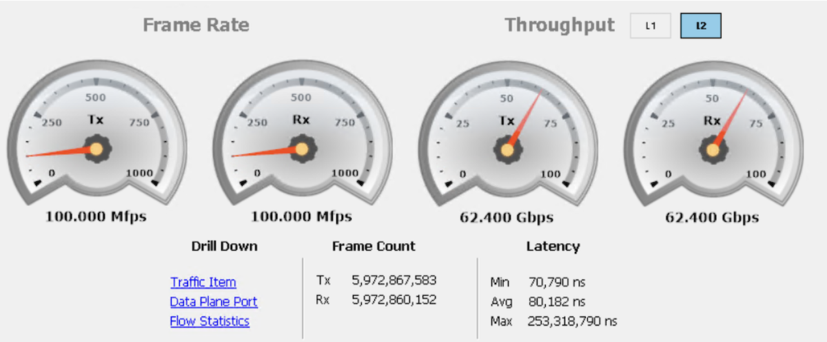 Figure 5 IxNetwork summary capture