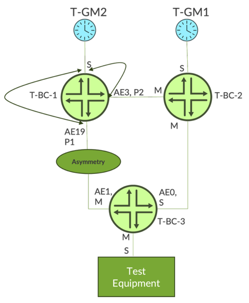 Figure 3: The topology model used by the EMEA Service Provider for the PPM feature