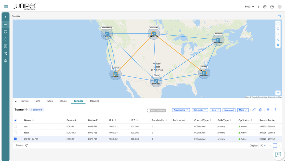 Figure 6: Routing Director topology view (tunnels).
