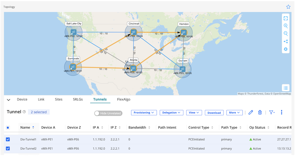 Figure 9 - RSVP-TE Tunnel Diversity Result