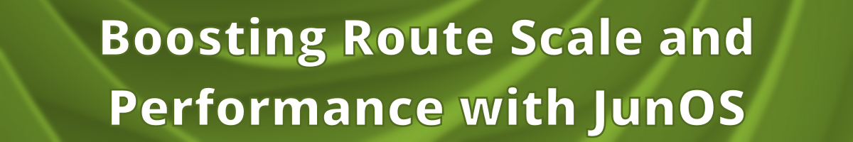 Boosting Route Scale and Performance with JunOS