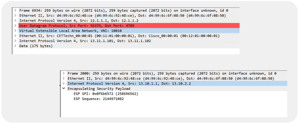 Figure 9: Packet Capture