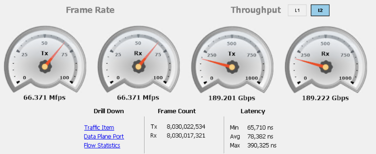 Figure 7 IxNetwork summary capture