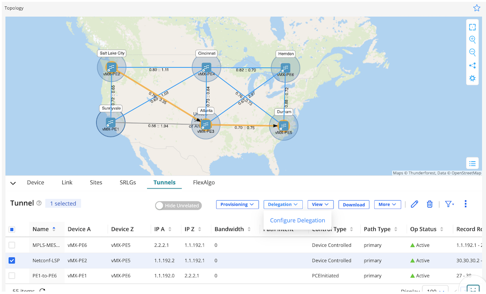 Figure 16 LSP Delegation Preparation