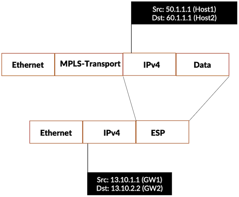 Figure 6: IPv4 packet encryption