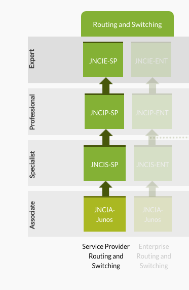 Juniper Learning Path I do not see SP path in the Certification Path | Training and Certification