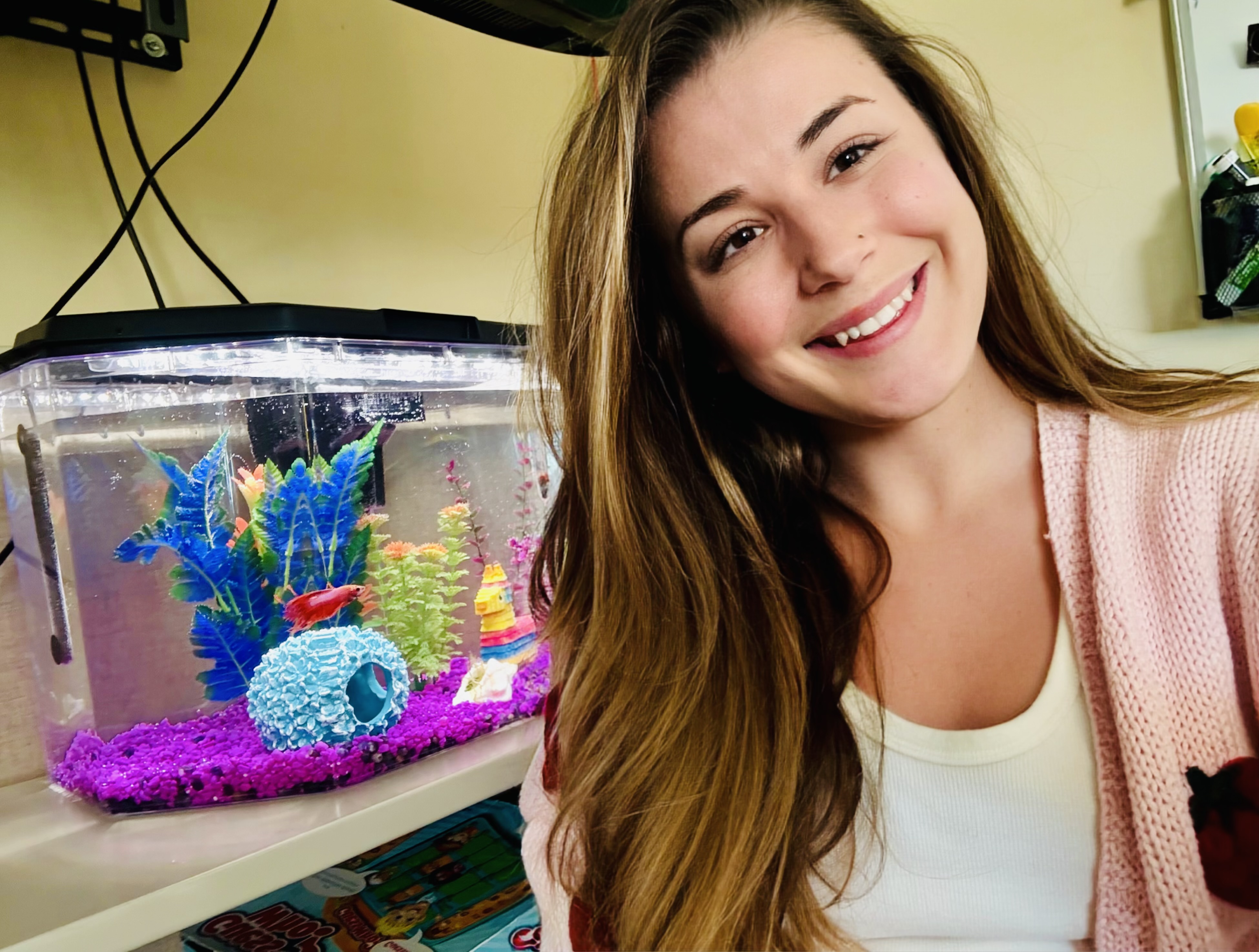 Betta Fish STEM Inquiry Project