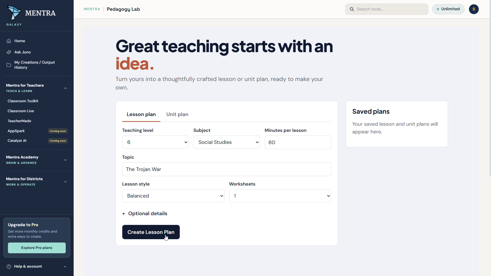 Mentra screen for entering a lesson idea