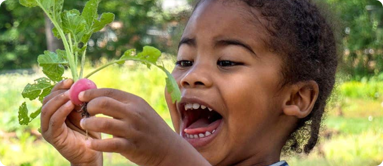 Close-up of a child holding a radish with a large smile on their face