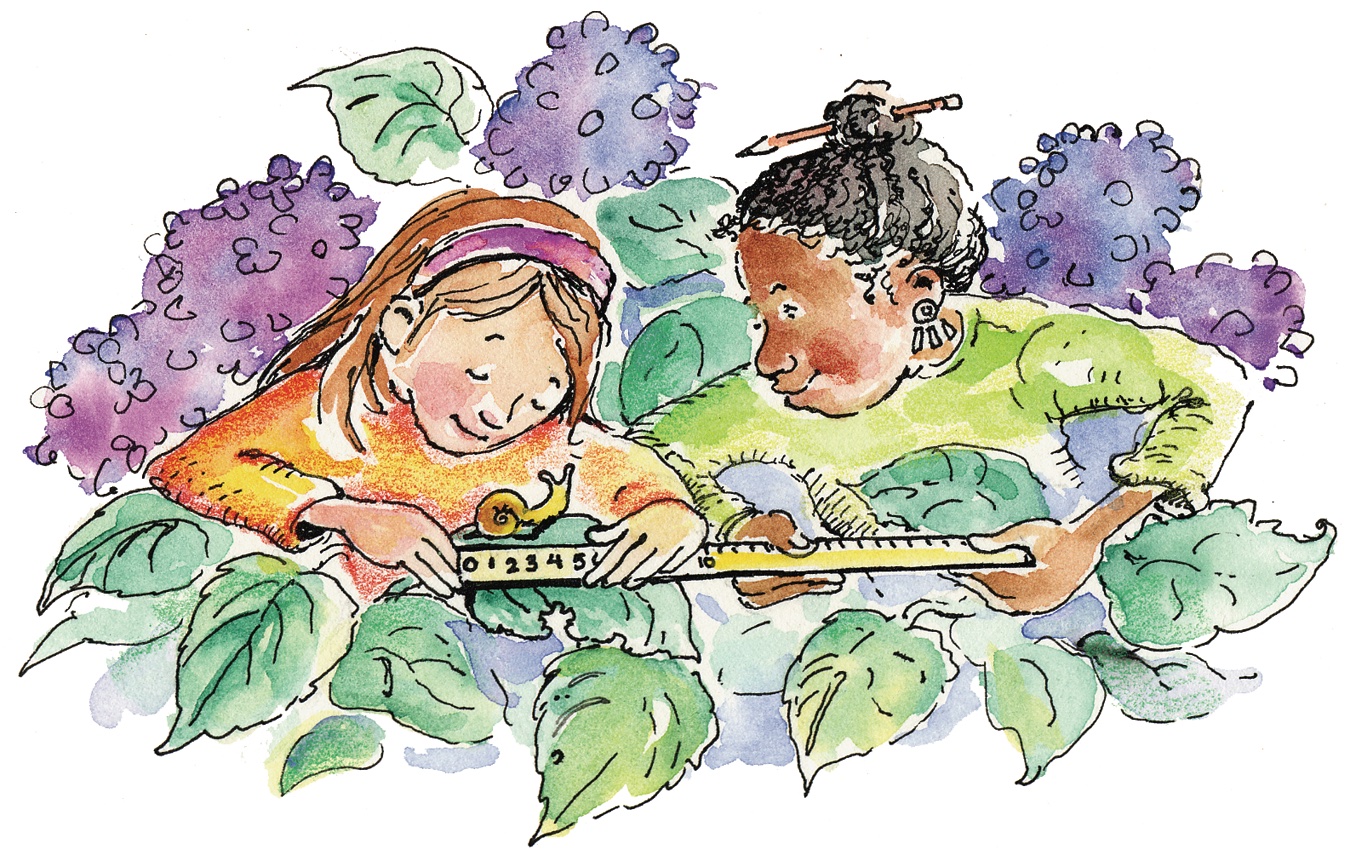 illustration of two kids using a ruler to measure a snail in a garden