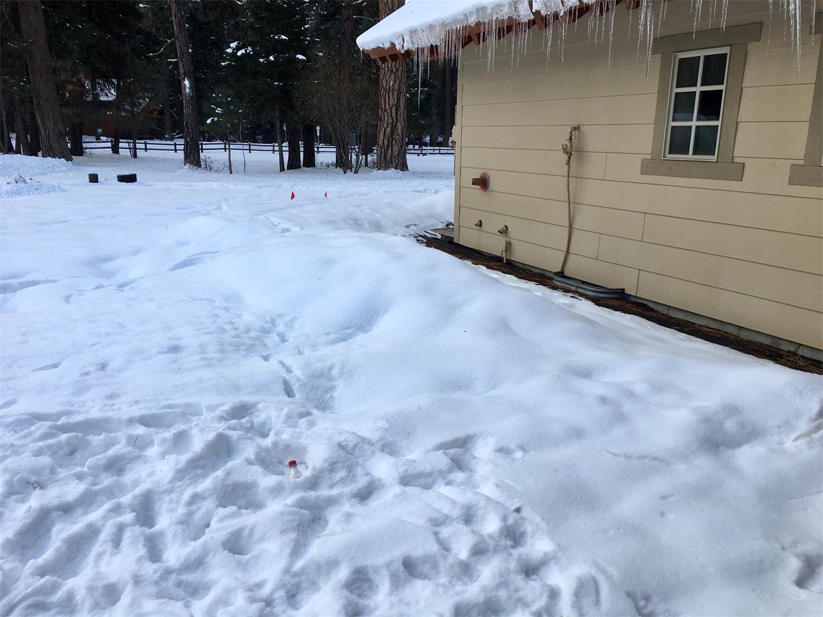 November snow blanketing the garden.  